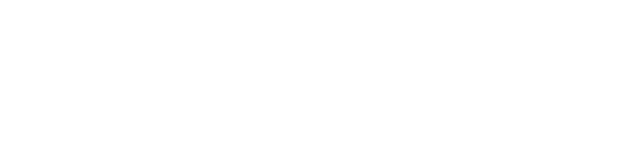 Euphoric Thought: IT Solutions and Services Provider in India